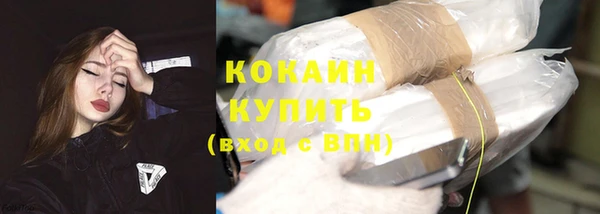 тгк Бородино