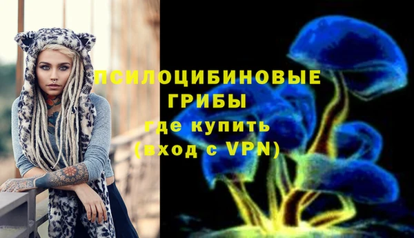тгк Бородино