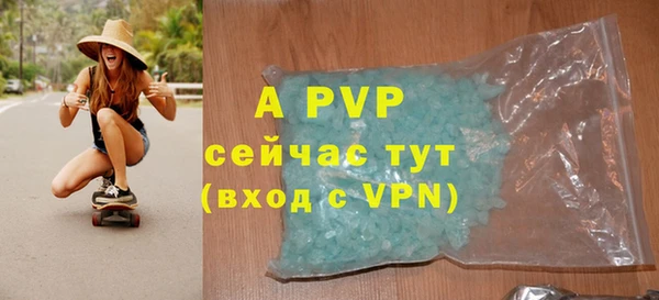 тгк Бородино