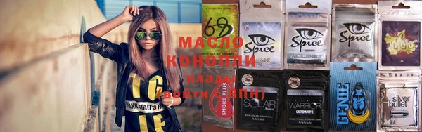 тгк Бородино