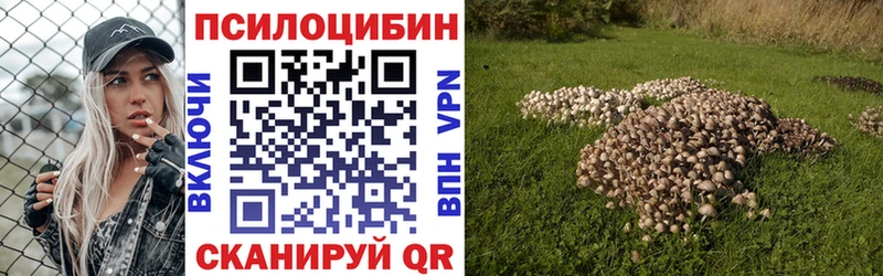 darknet Telegram  Кондрово  Псилоцибиновые грибы ЛСД  гидра ссылка 